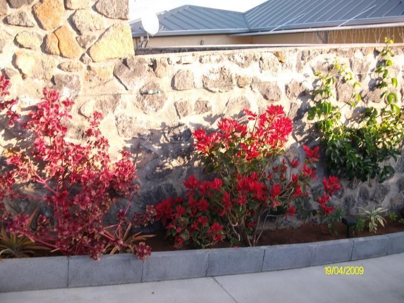 Les Nymphes De Bourbon Bed & Breakfast Saint Pierre Bagian luar foto